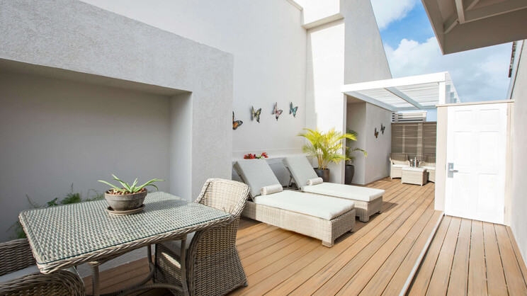 Bougainvillea Barbados